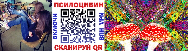 Купить где  Стерлитамак  Псилоцибиновые грибы ЛСД 